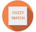 fuzzy match