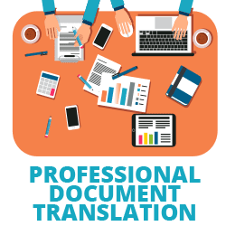professional document translation