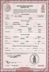 sample of a birth certificate translation
