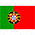certified translation Portuguese to English