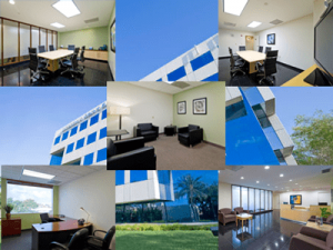 Aventura translation services