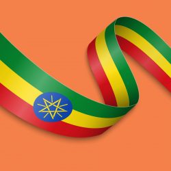 amharic translation amharic translation