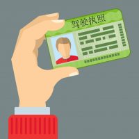top notch Driver License Driver License