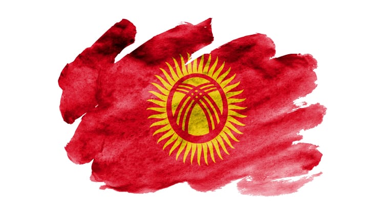 Facts About Kyrgyz Translation