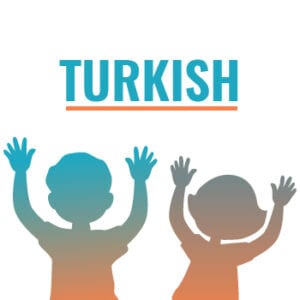 Translation into the Turkish Language Translation into the Turkish Language