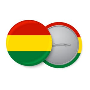 The Indigenous Population of Bolivia The Indigenous Population of Bolivia