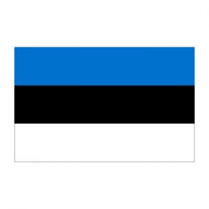 Estonian translation services