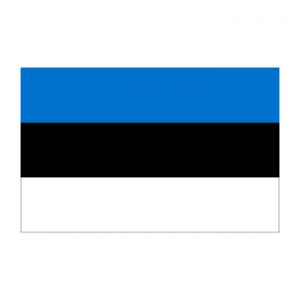 Estonian translation services Estonian translation services
