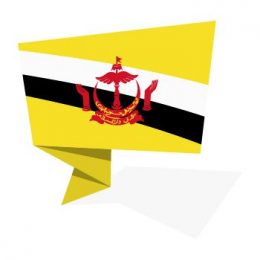 maylay translation services
