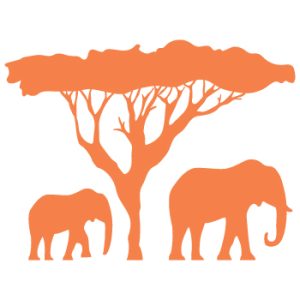 how to learn setswana language from english how to learn setswana language from english