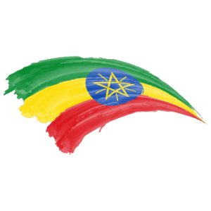 ethiopias language facts