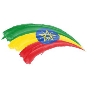 ethiopias language facts ethiopias language facts