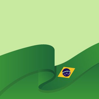 brazilian to english brazilian to english