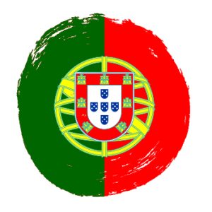 resume in portuguese