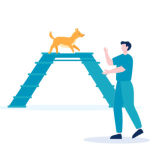 foreign languaes and dogs foreign languaes and dogs