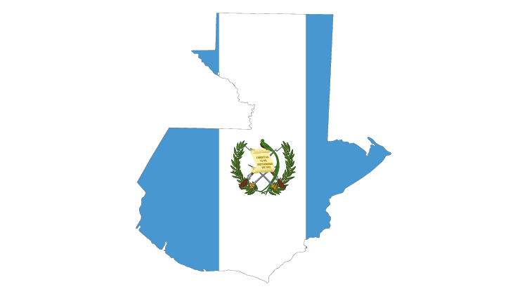 Translator facts Winolela